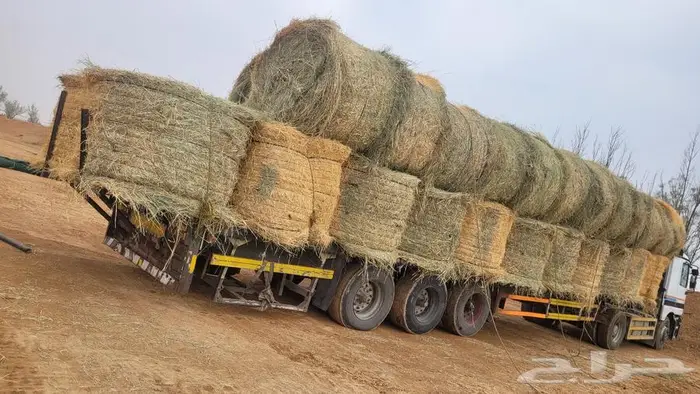 اللبيع. لفات.رودس.كوم.نظيف.شد سعودي. طيب العداد. 1000لفه 7