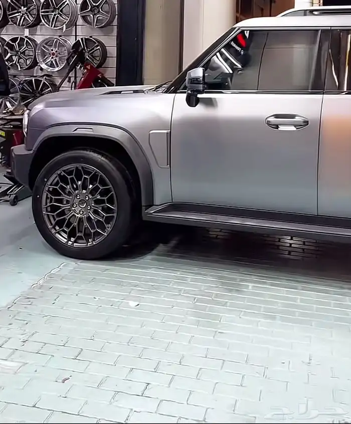 جنوط جيتور تي تو 2024 T2 19