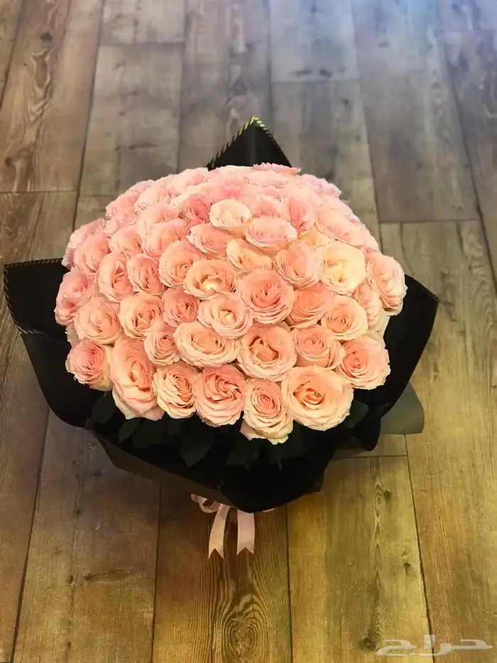 مندوب توصيل صامطة وجيزان وضواحيها 14