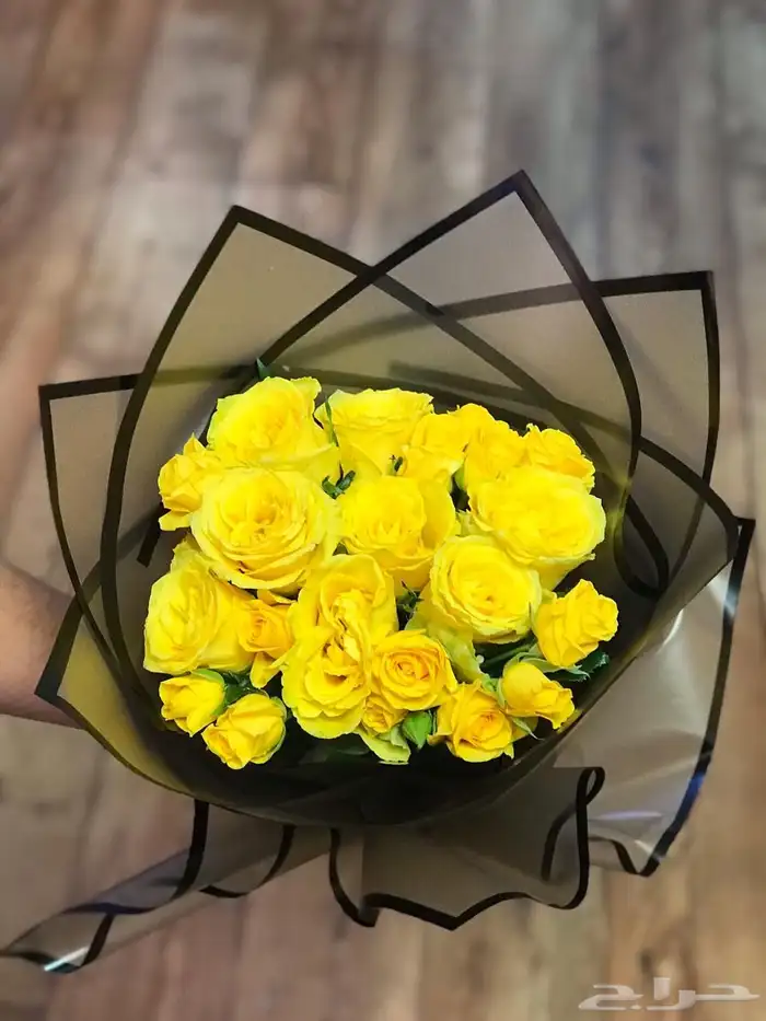مندوب توصيل صامطة وجيزان وضواحيها 2