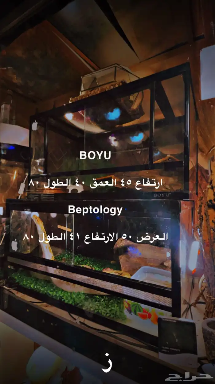 حوض احواض زواحف باقي حبتين 0