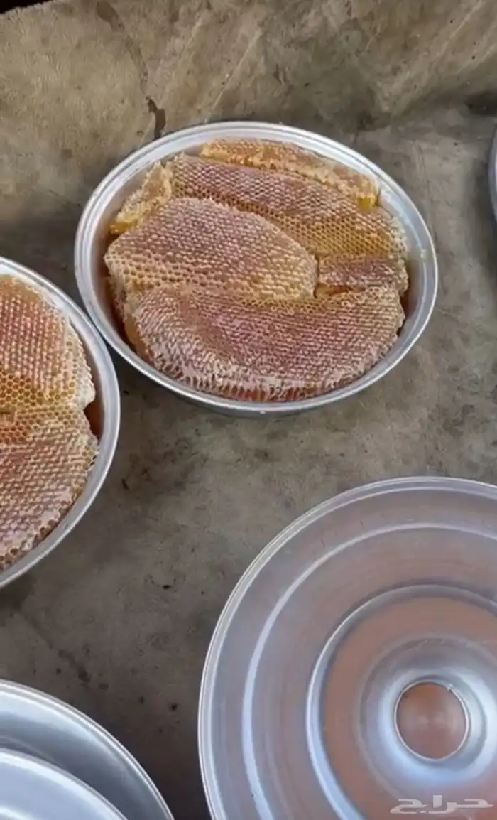 عسل قرض شمع 6