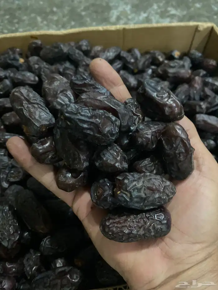 عجوة المدينة المنورة 1