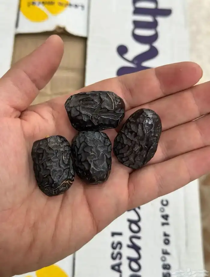 عجوة المدينة المنورة 2