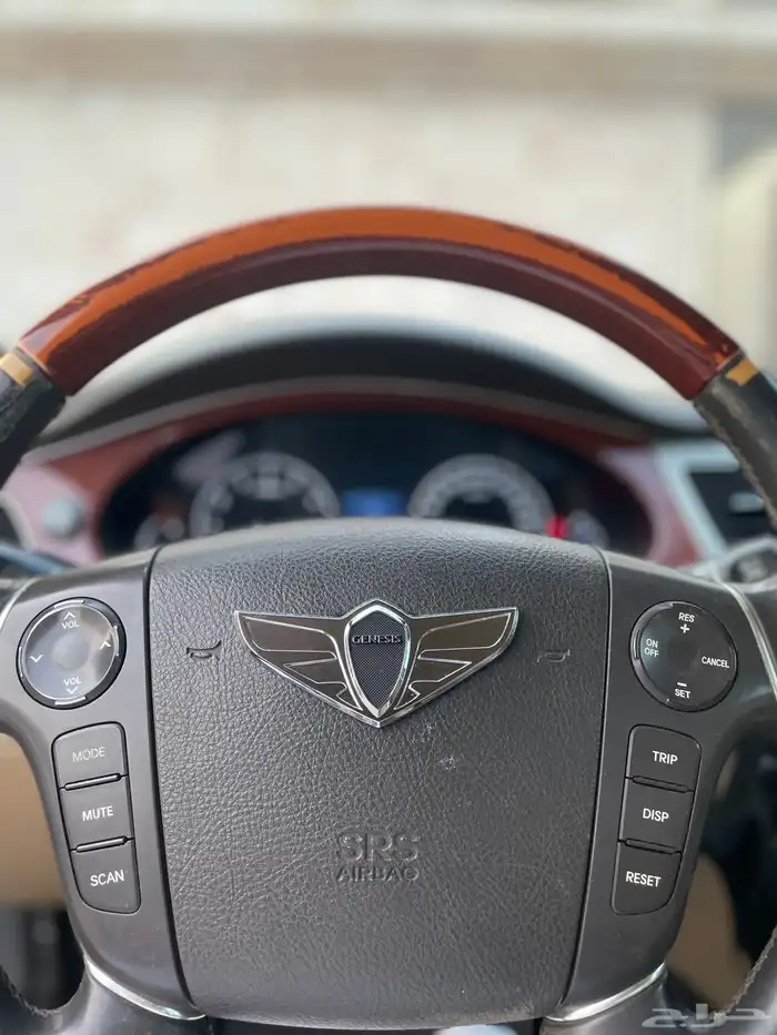 شعار جينسس 7