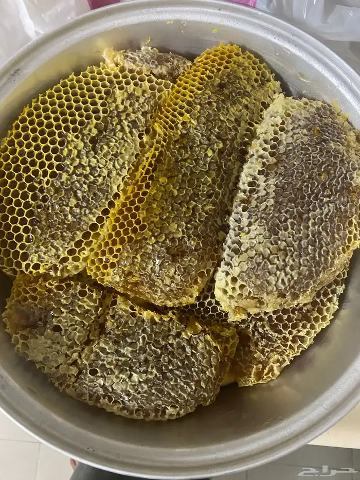 عسل قرض شمع 1