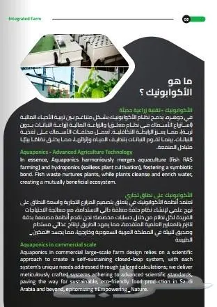 تصميم بروفايل شركة ملف تعريفي - الأولوية لاحترافية الانطباع 3