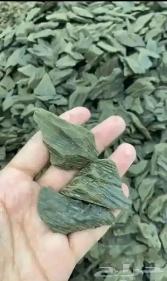 مزاد لمدة 24 ساعه على ربع كيلو كلمنتان 0