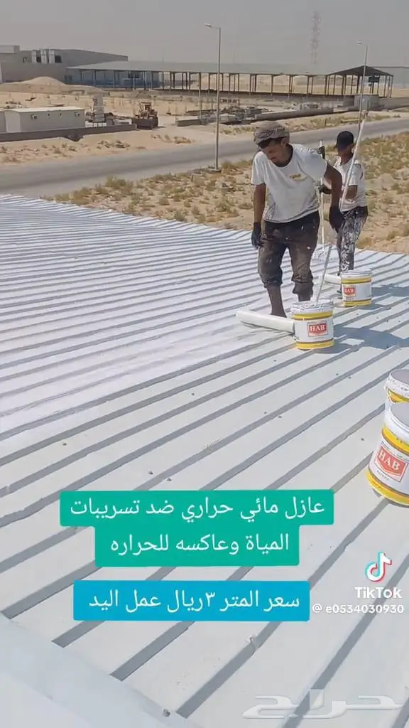 ديكورات - دهانات - عوازل أسطح - الشرقية 8