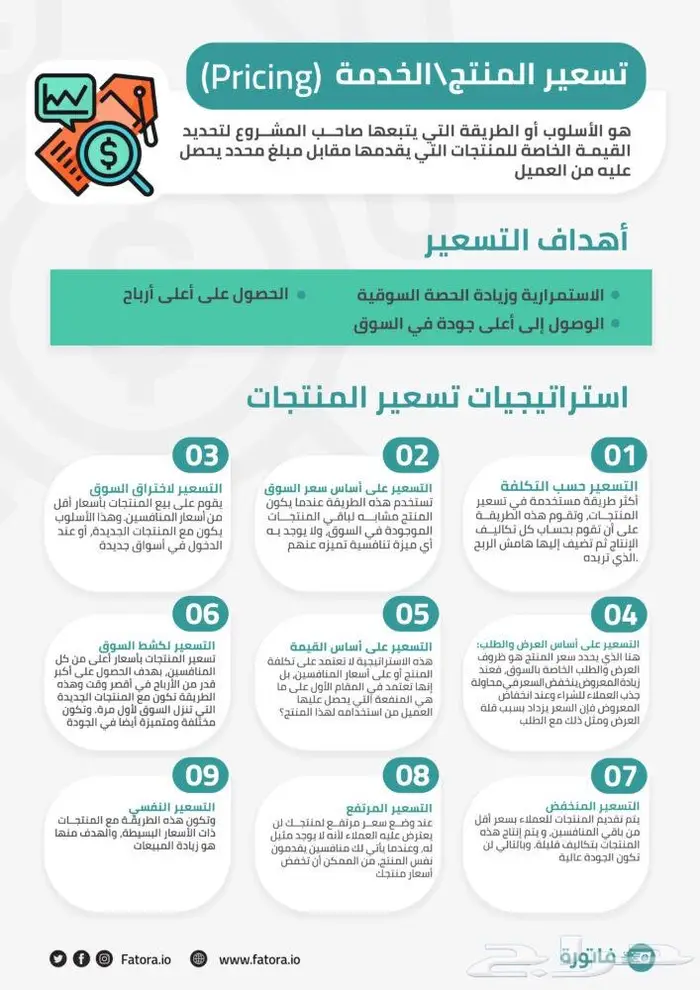تصميم انفوجرافيك (infographic) مميز وجذاب ومفصل 2