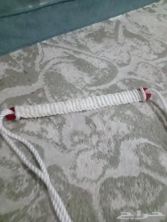 شمل وجنب 16