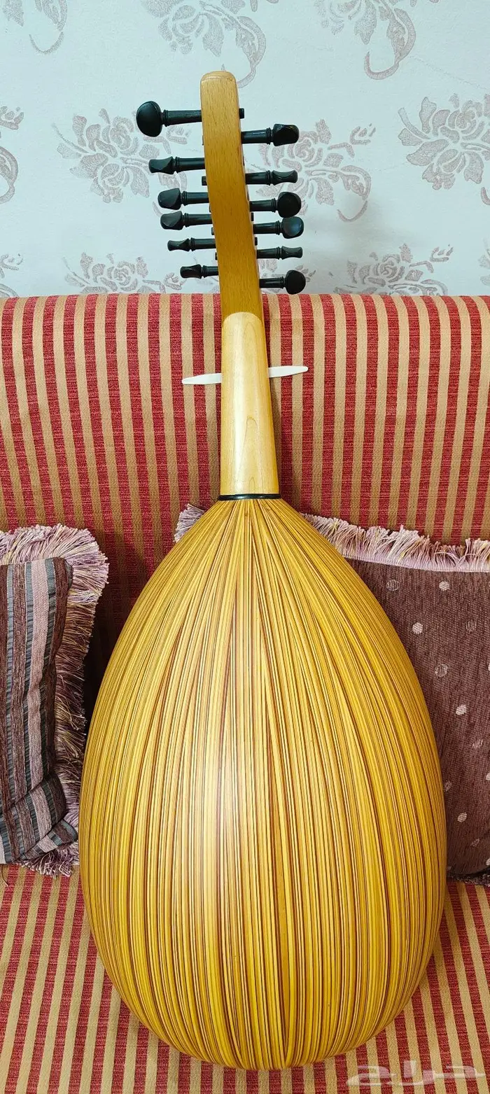 عود موسيقي بحريني درجة أولى 1