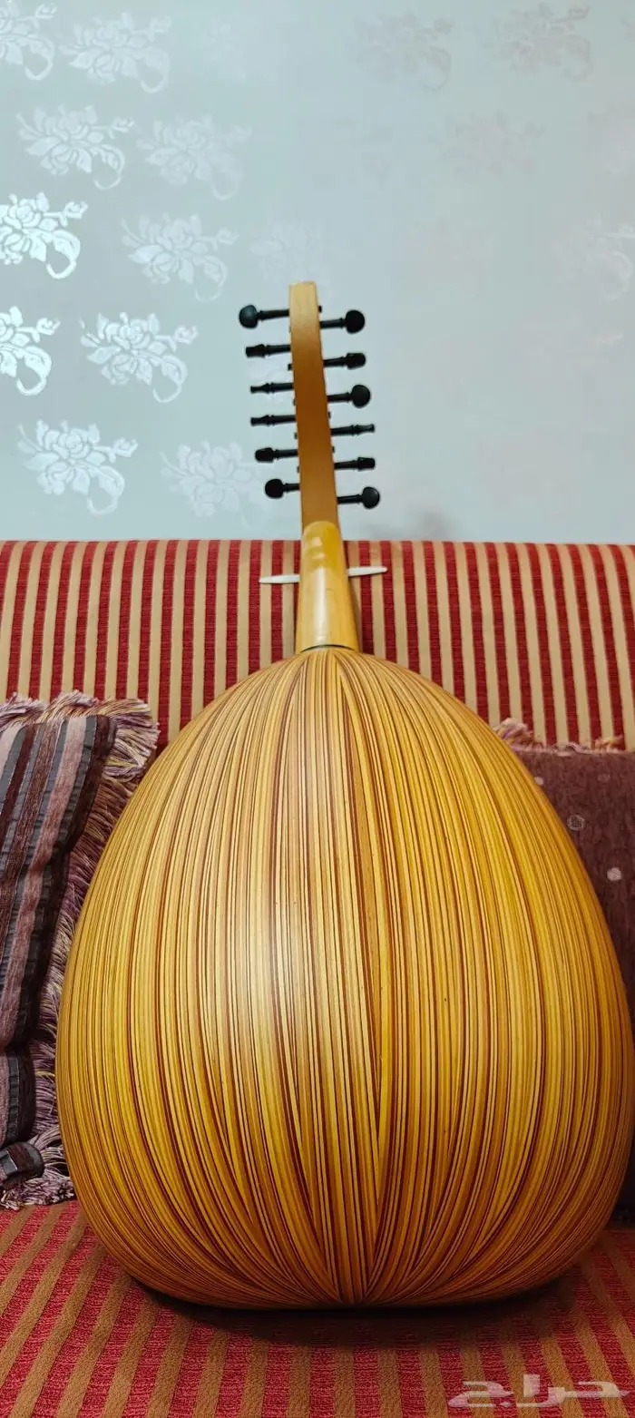 عود موسيقي بحريني درجة أولى 4