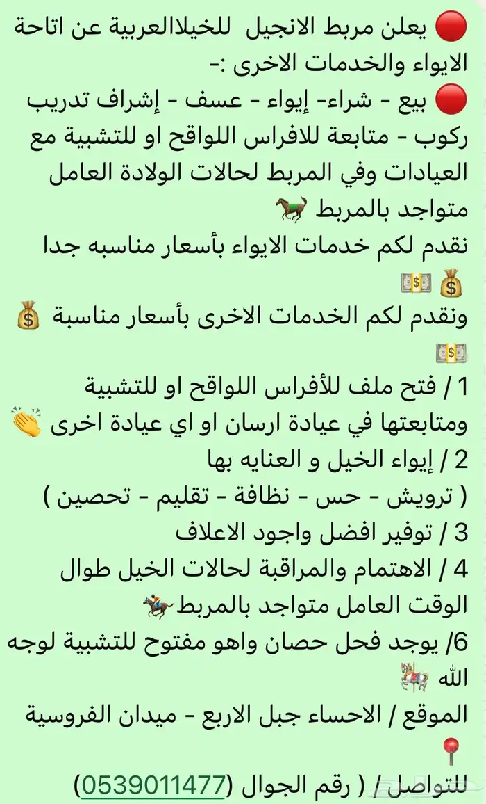 ايواء خيل في جبل الاربع 0