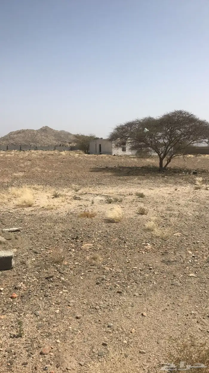 حوش كبير للبيع فيه بيت شعبي بعداد كهربة 4