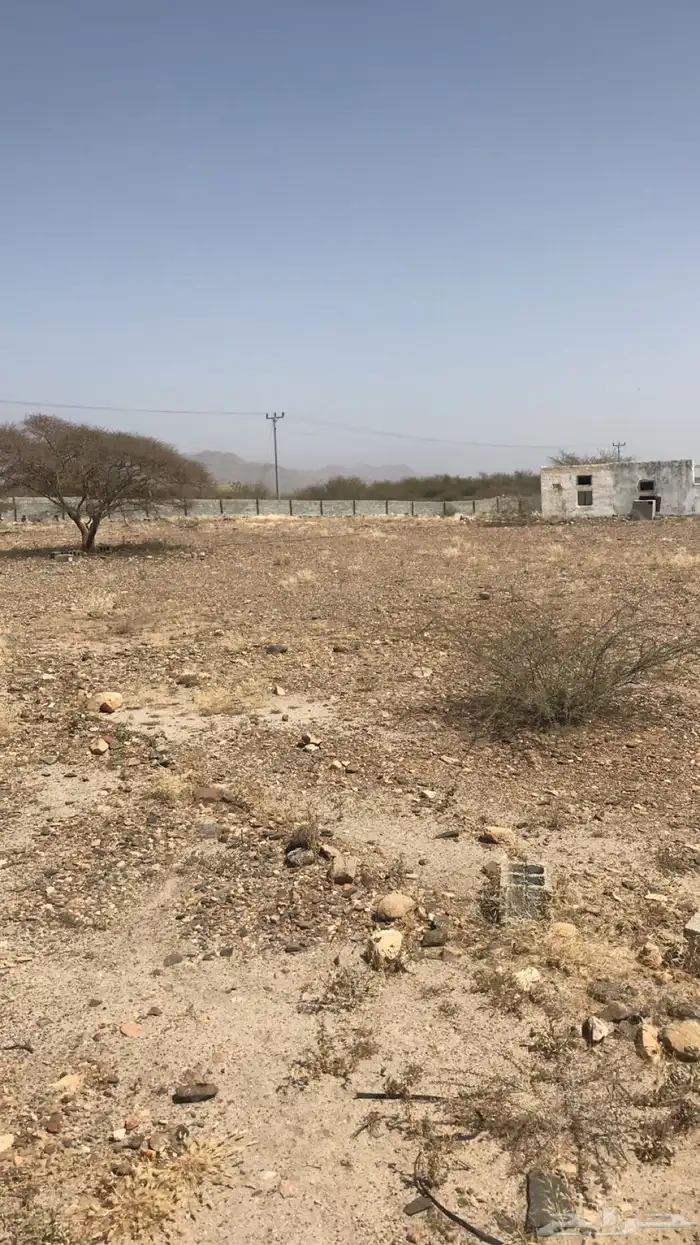 حوش كبير للبيع فيه بيت شعبي بعداد كهربة 3
