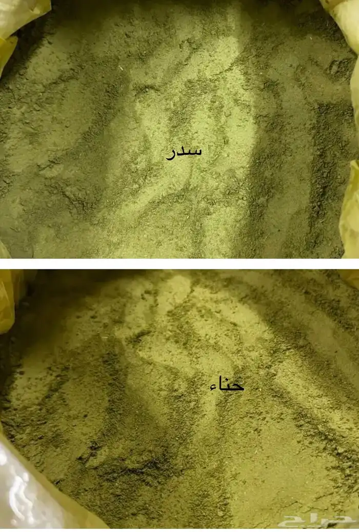 حناء وسدر المدينه المنوره 6
