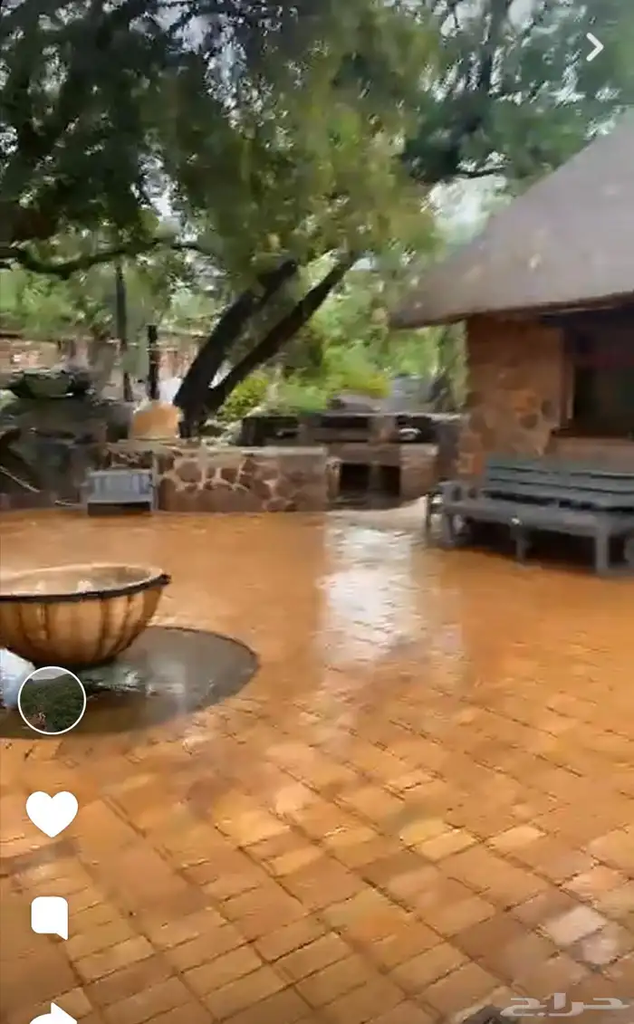 مقناص صيد غزلان شغل مرتب 3