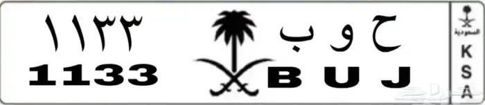 لوحة مفقوده بالسويدي 0