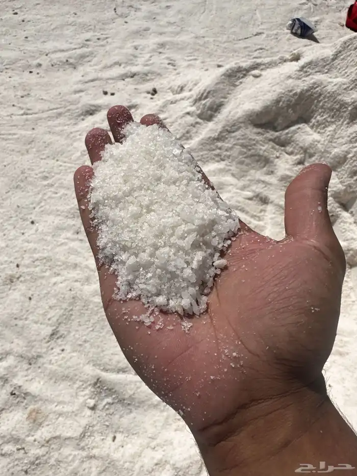 ملح القصب باسعار الجملة (((60 هللة ) 1