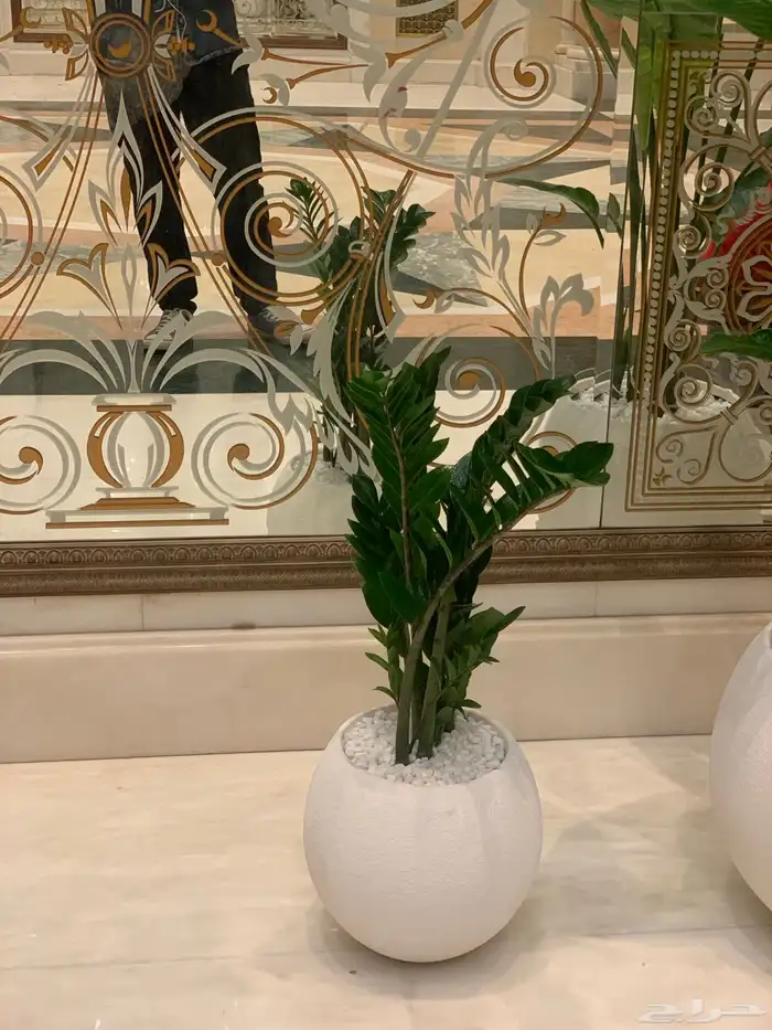 احواض   مراكن 1