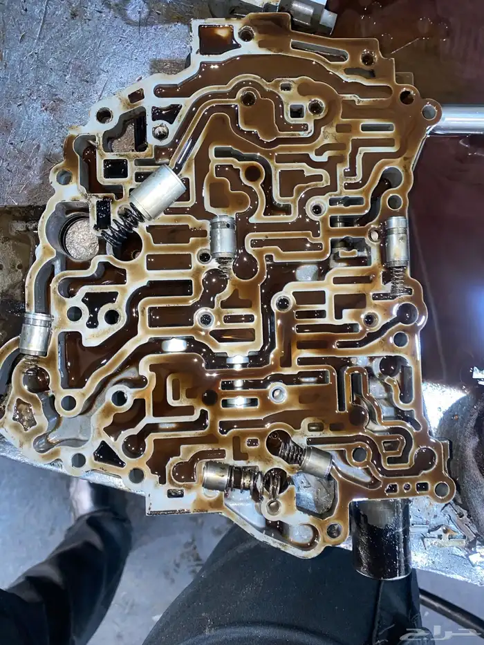(منظم جير) (مخ الجير) (البلف بدي) 10