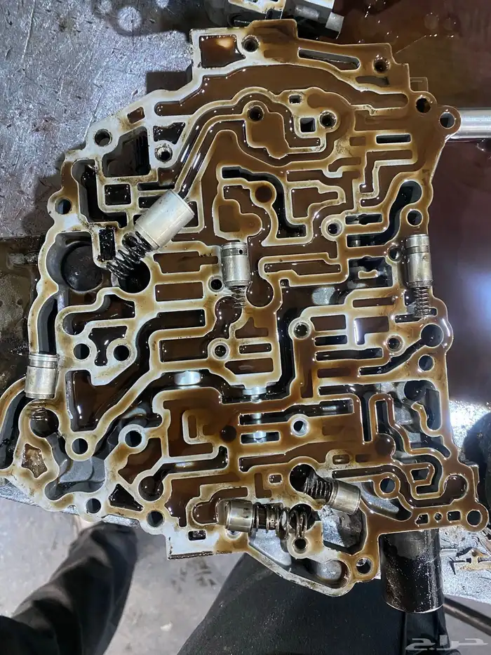 (منظم جير) (مخ الجير) (البلف بدي) 12