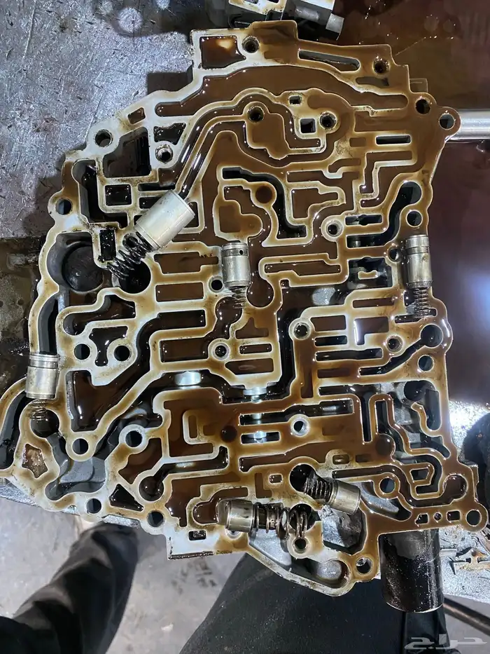 (منظم جير) (مخ الجير) (البلف بدي) 11