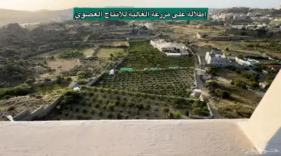 شقق تمليك فاخرة في بلجرشي للبيع 8