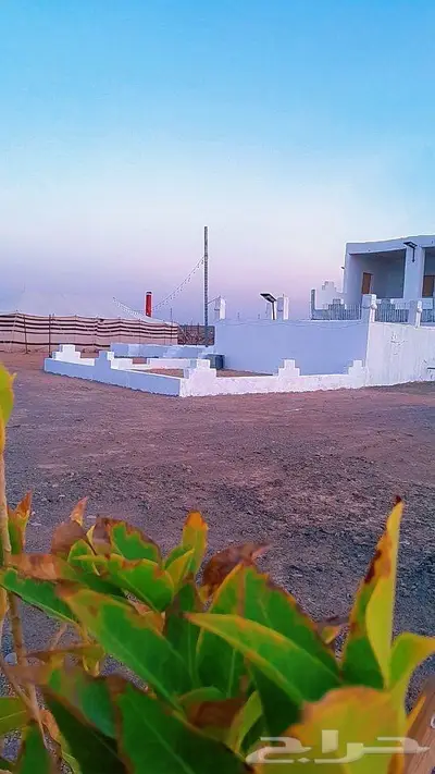 مزرعه للايجار 0