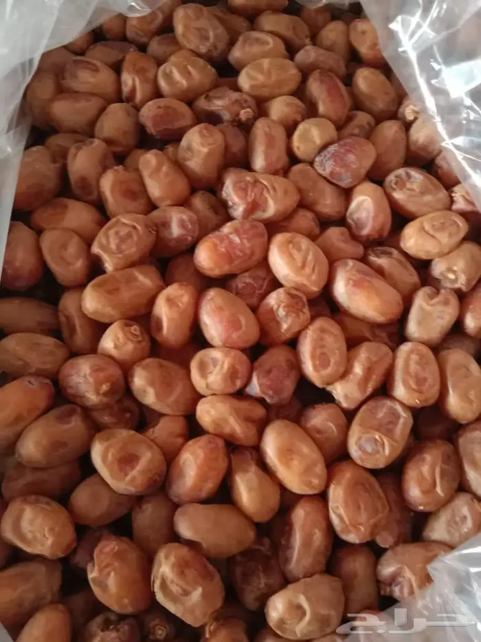 تمور خلاص حائل 1
