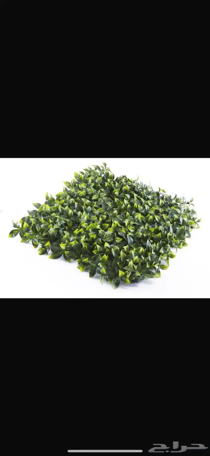 عشب صناعي جداري بأقل الأسعار 0