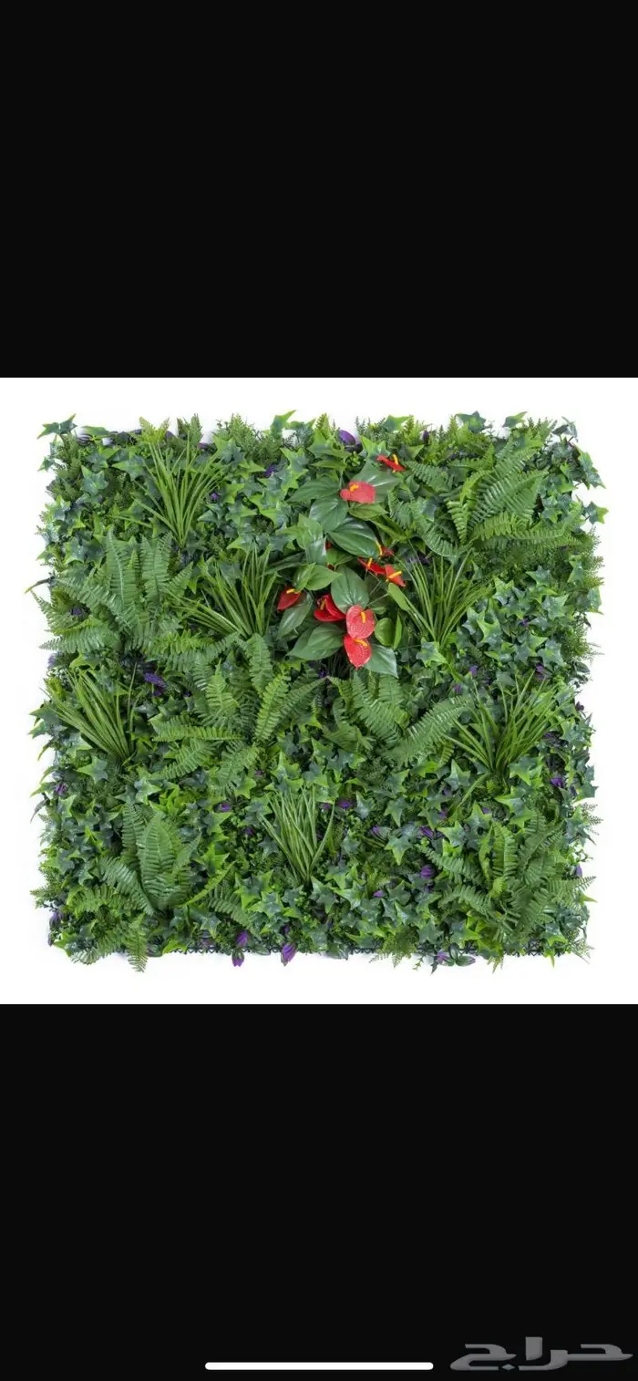 عشب صناعي جداري بأقل الأسعار 9