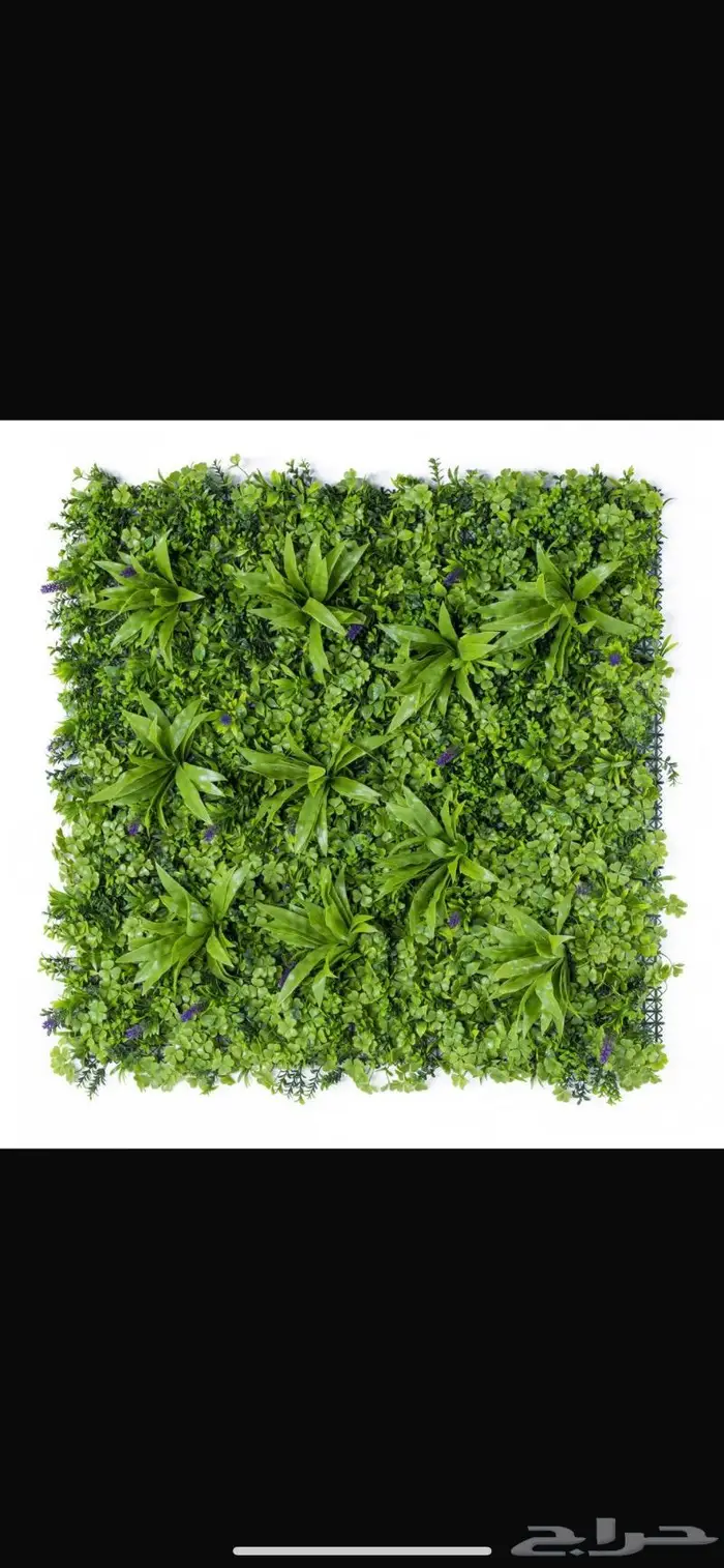 عشب صناعي جداري بأقل الأسعار 10