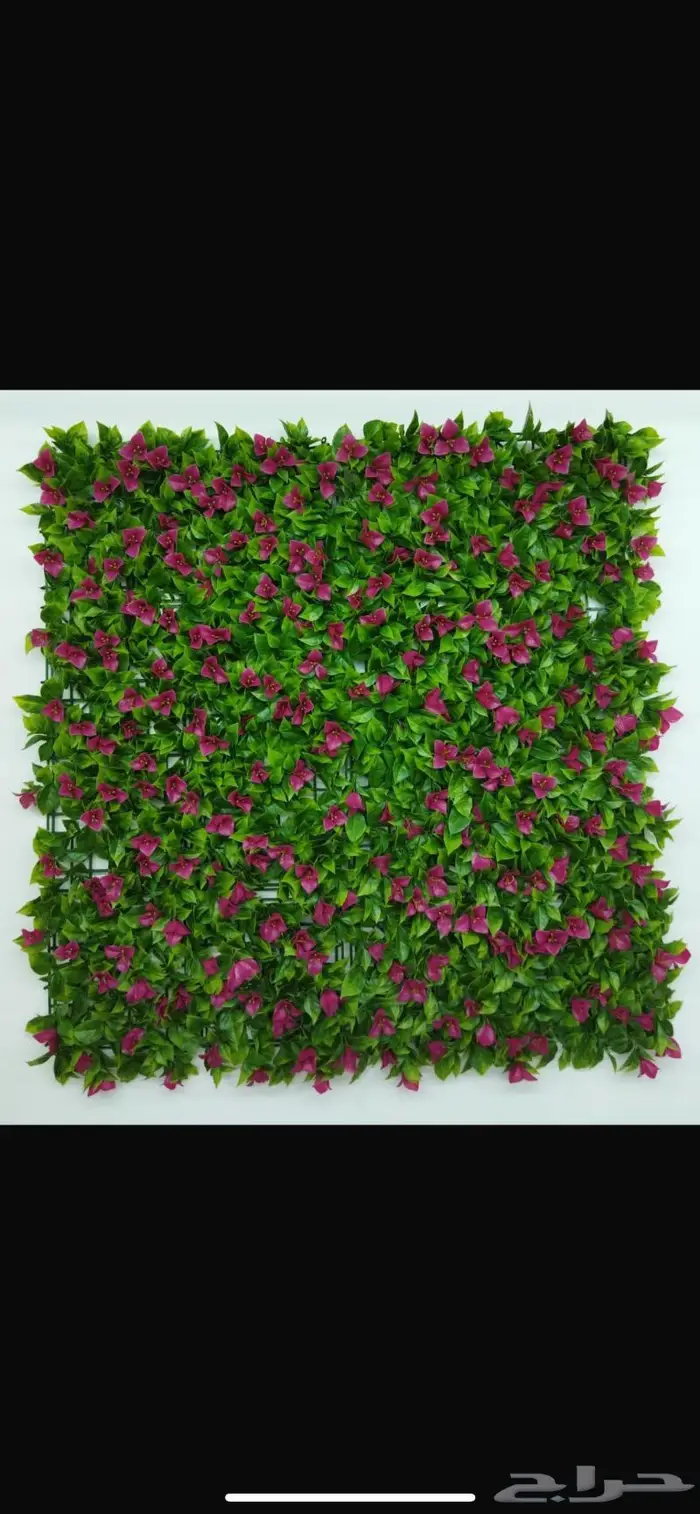 عشب صناعي جداري بأقل الأسعار 13