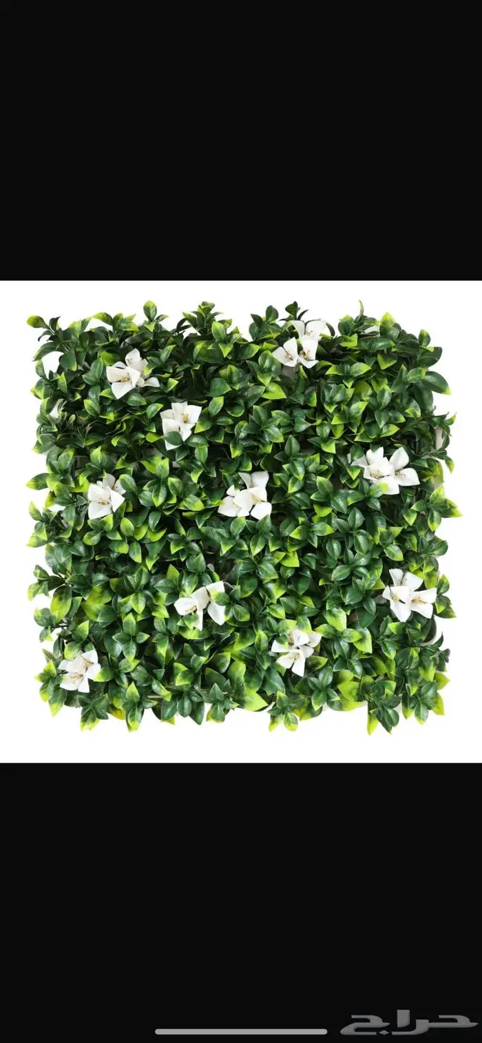 عشب صناعي جداري بأقل الأسعار 12