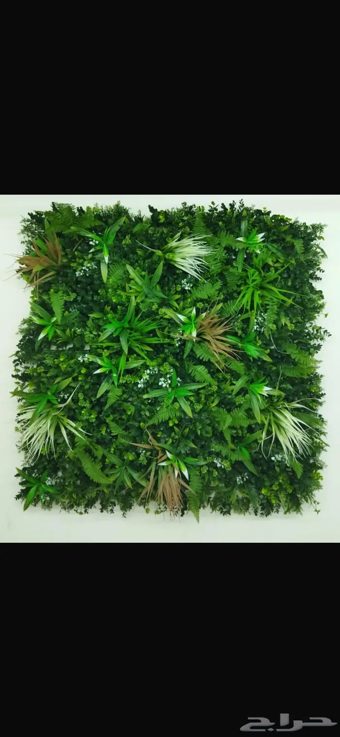 عشب صناعي جداري بأقل الأسعار 16