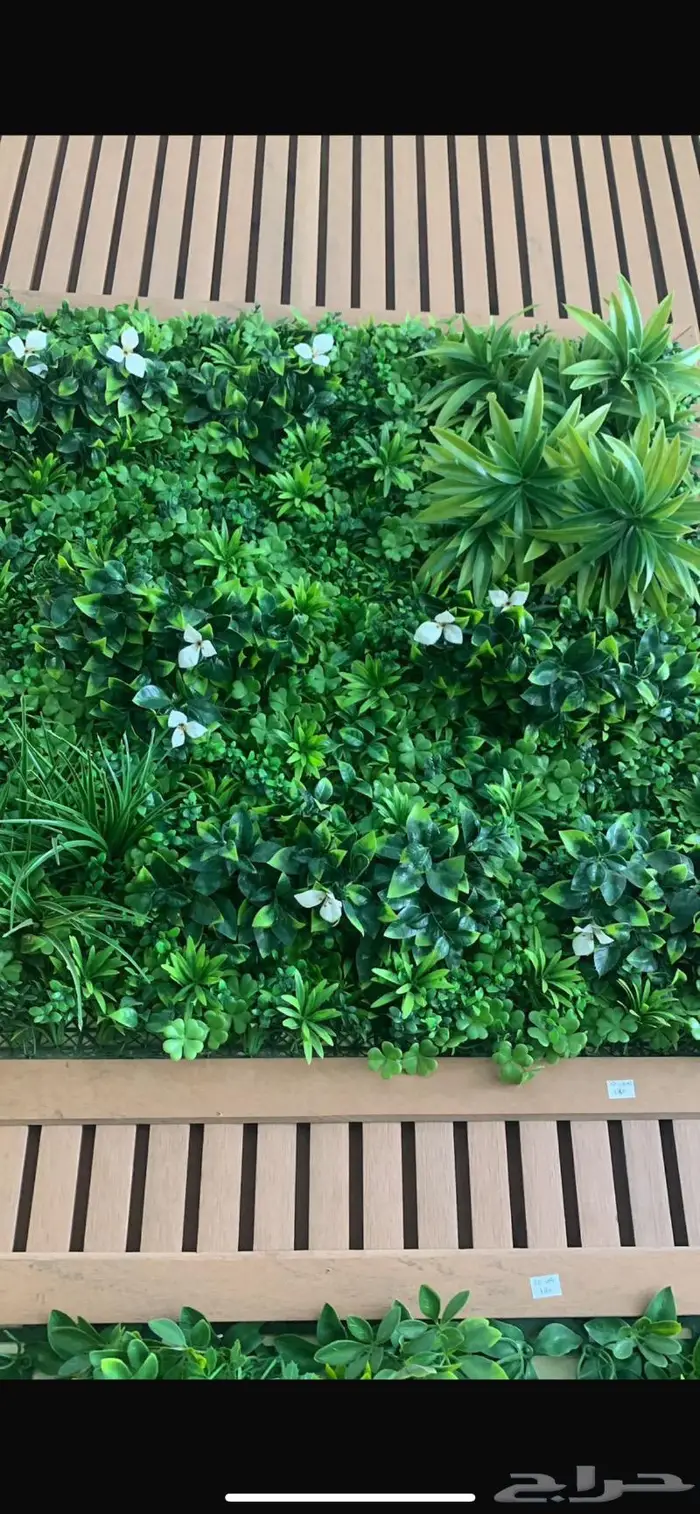 عشب صناعي جداري بأقل الأسعار 18
