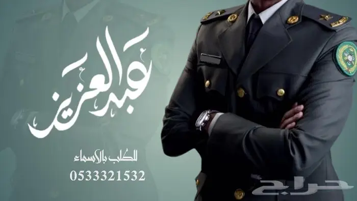 منشد شيلات شاعر جزل 0