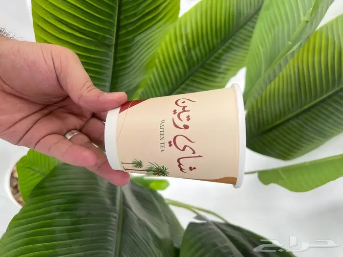 طباعة أكواب ورق طباعة أكواب بلاستيك 18