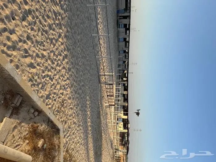 إيواء عسف تدريب الخيل 5