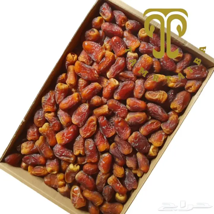 حلوة المدينة الفاخرة تطلبها من متجرنا الالكتروني 1