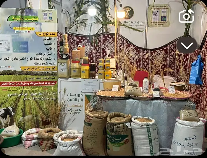 سمن   غنم وسمن 1