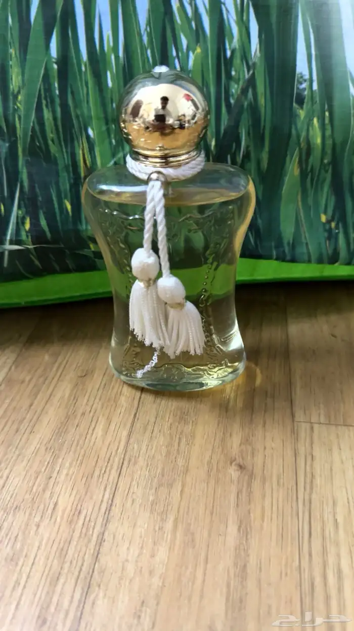 عطورت مطار دساتر اصليه بس بدون كرتون 23