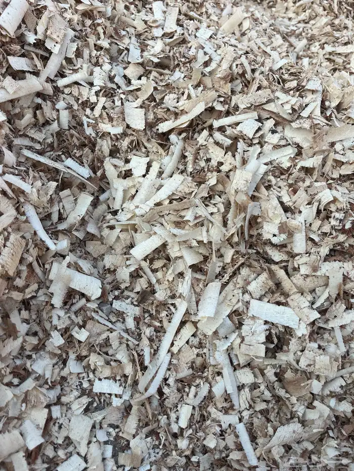 نشاره خشب مرابيع اثل دجاج خيل ادخل صفحتنا عروض طيبه 9