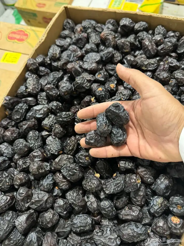 عجوة المدينة المنورة 2