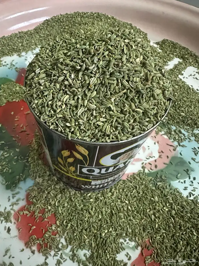 سنوت بلدي الباحة (قطف السنة هذي ) 1