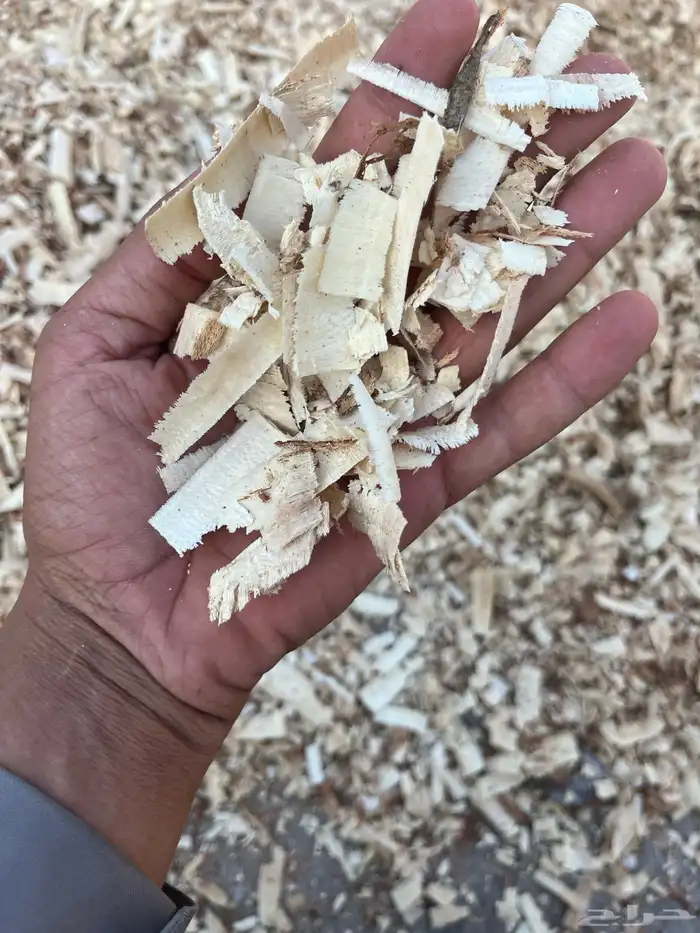 نشاره خشب مرابيع اثل دجاج خيل ادخل صفحتنا عروض طيبه 1