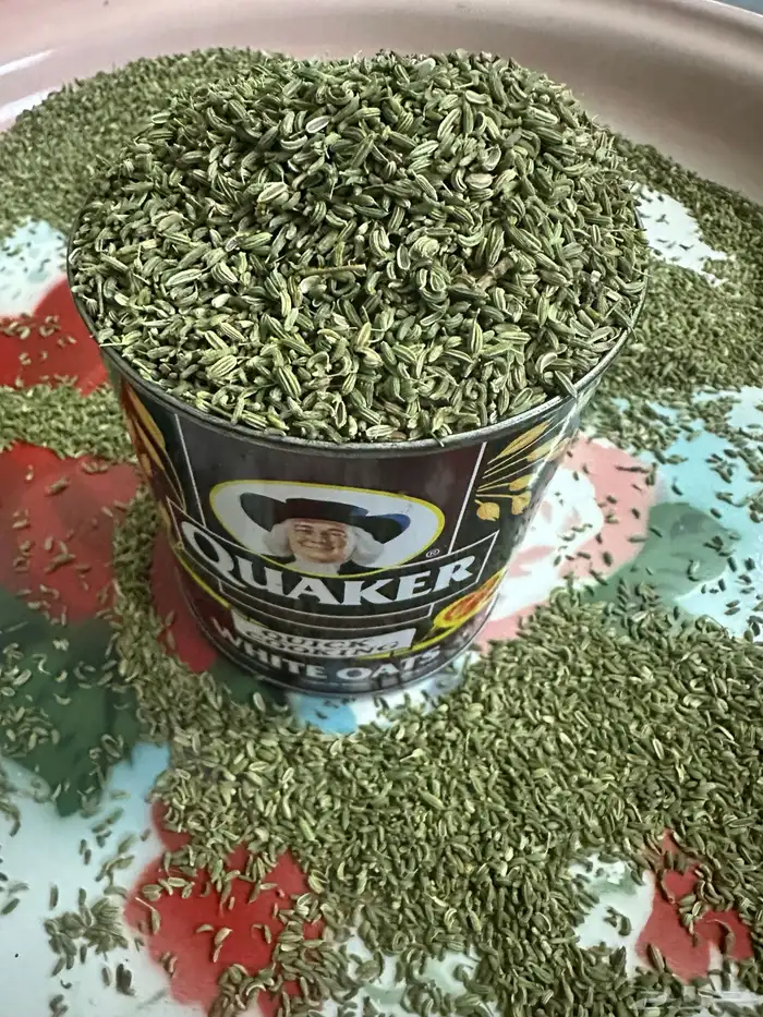 سنوت بلدي الباحة (قطف السنة هذي ) 2