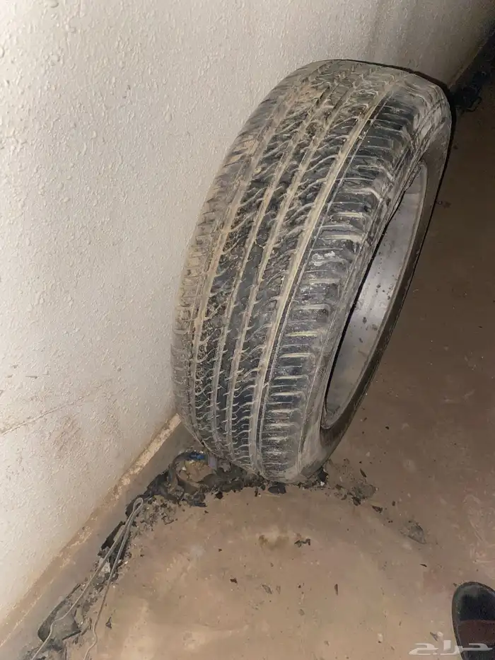 كفر كامري 11 3
